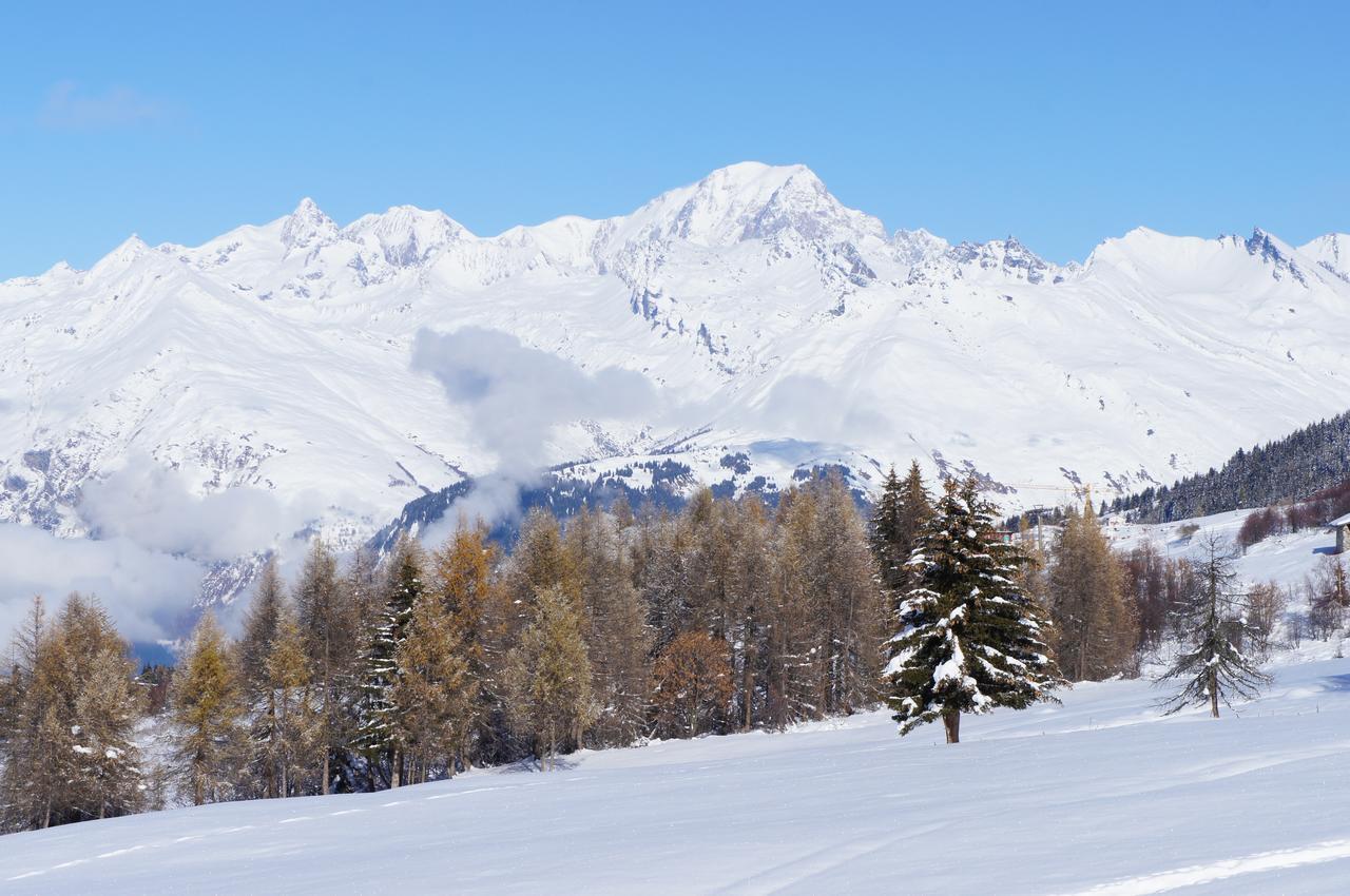 Chalet Les Amis Peisey-Nancroix Exterior foto